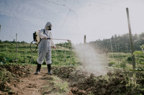 Professional Pest Control in Diamond, IL