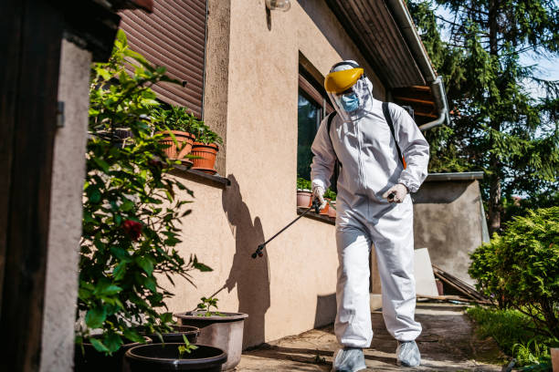 Best Exterminator Services  in Diamond, IL