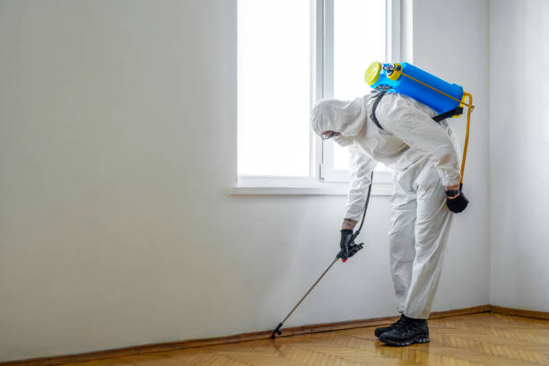 Best Exterminator Services  in Diamond, IL