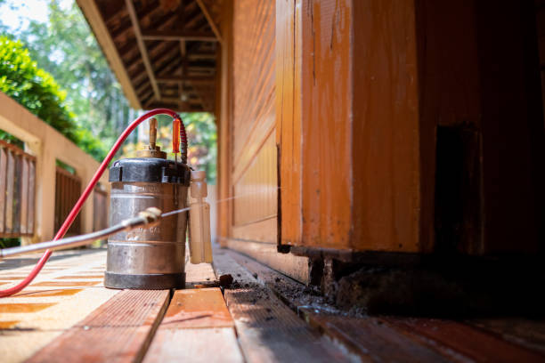 Best Insect Control  in Diamond, IL